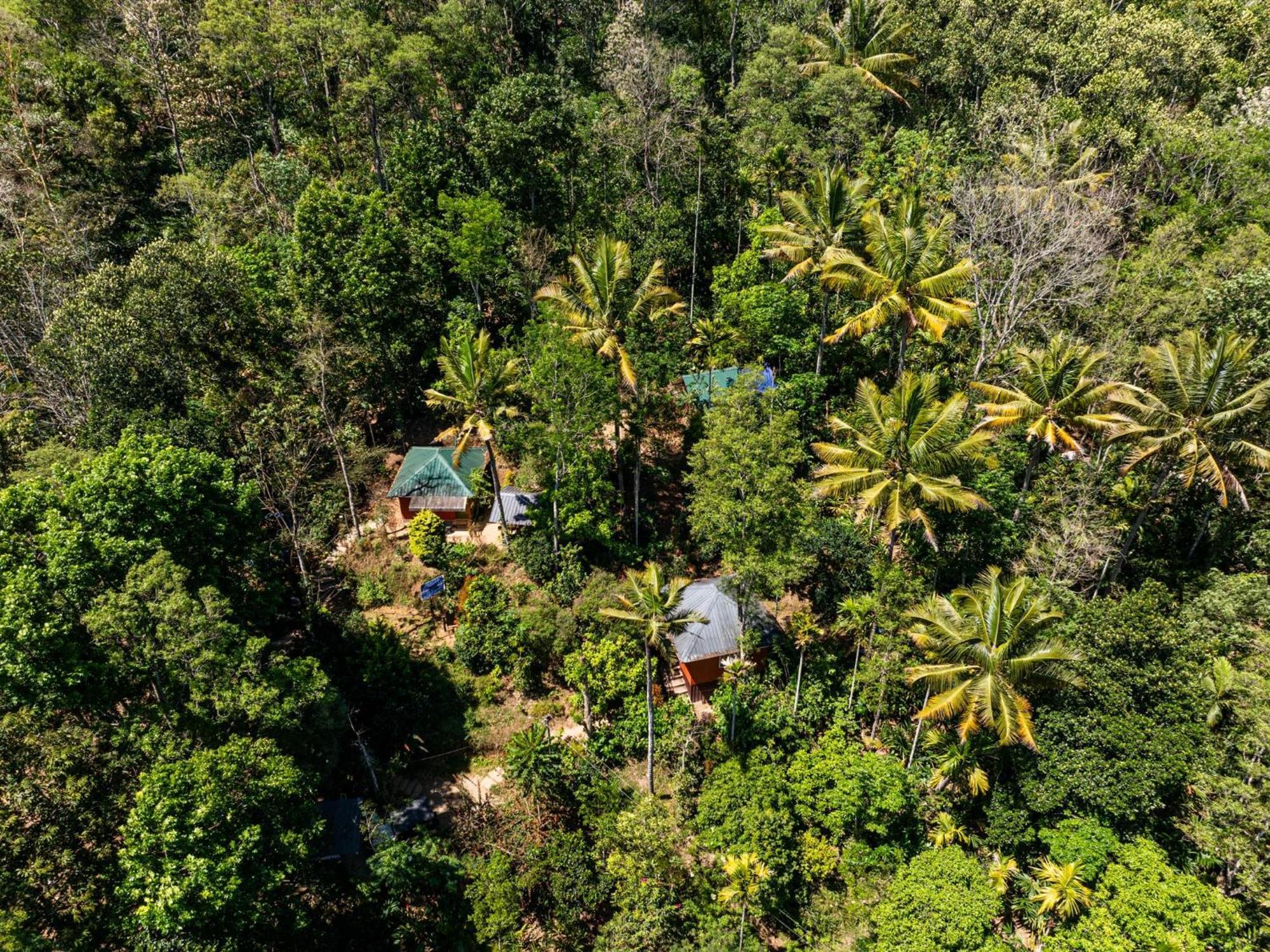 Pepper County Farm Stay Munnar Exterior foto