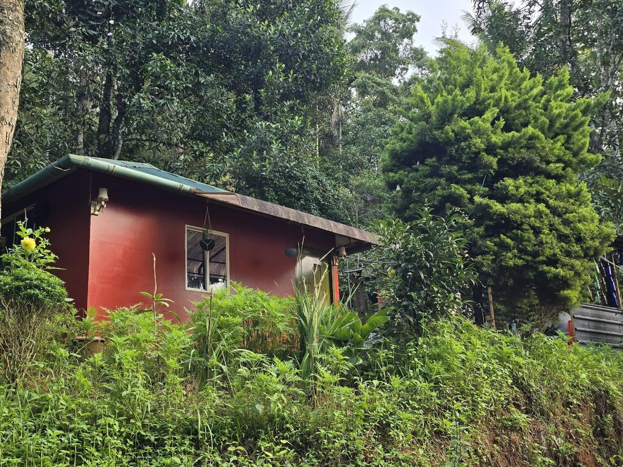 Pepper County Farm Stay Munnar Cameră foto