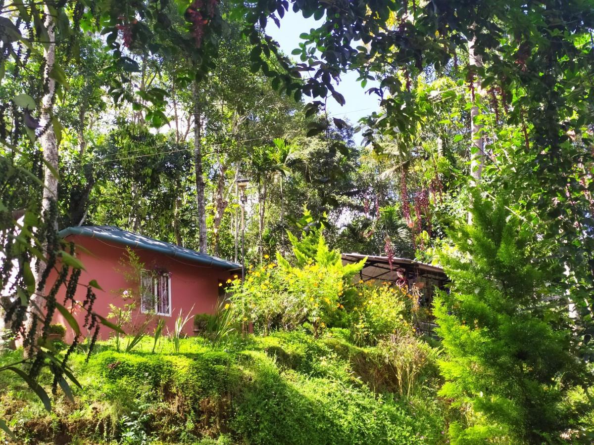 Pepper County Farm Stay Munnar Exterior foto