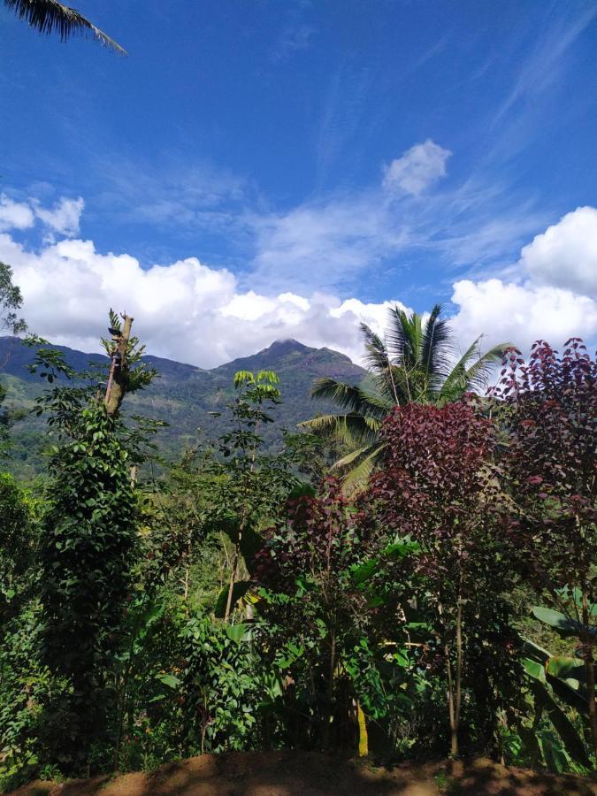 Pepper County Farm Stay Munnar Exterior foto